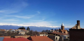 Your Home in Telavi
